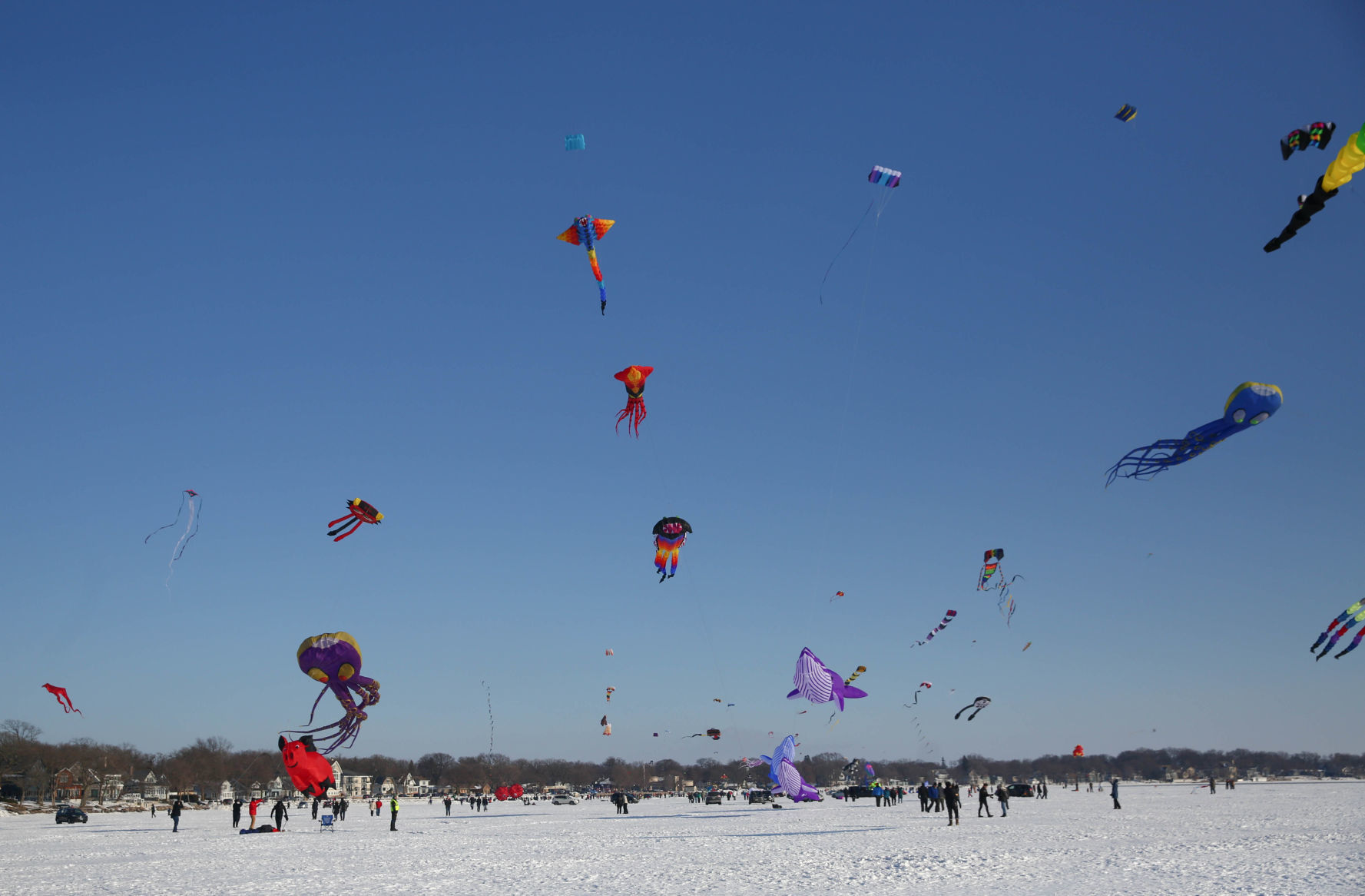 Color the Wind kite festival 02-15-2020 (73).jpg